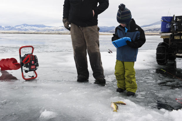 Perch Derby on Canyon Ferry
